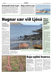Síða 2