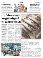 Síða 10