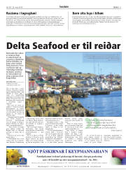 Síða 11