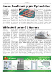 Síða 15