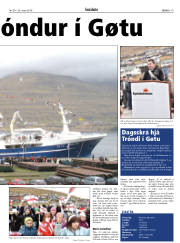 Síða 19
