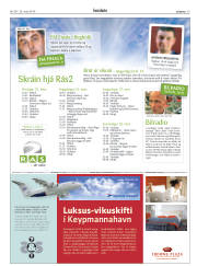 Síða 29