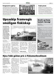 Síða 11