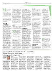 Síða 17