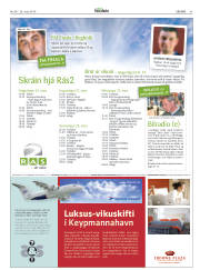 Síða 43