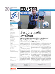 Síða 20