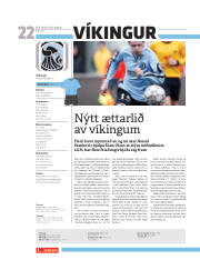 Síða 22