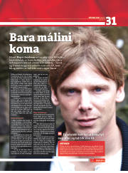 Síða 31