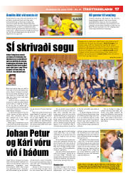Síða 17