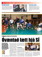 Síða 18
