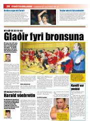 Síða 20