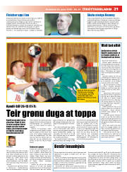 Síða 21