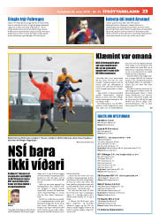 Síða 23