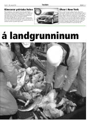 Síða 31