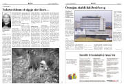 Síða 10