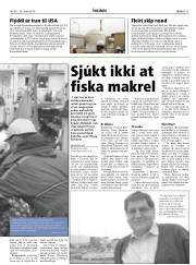 Síða 11