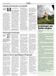 Síða 17