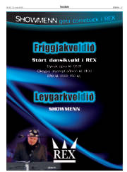 Síða 29