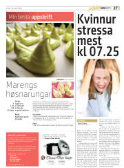Síða 27