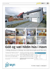 Síða 29