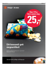 Síða 3