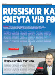 Síða 6