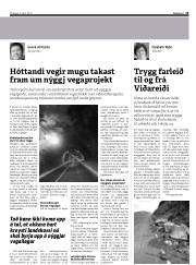 Síða 13