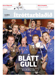 Síða 17
