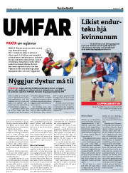 Síða 29