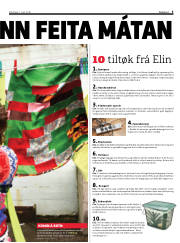 Síða 5