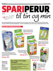 Síða 6