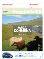Síða 17