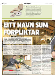 Síða 30