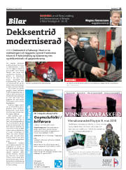 Síða 41