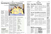 Síða 11