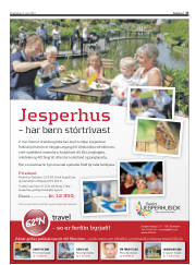 Síða 17