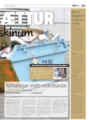 Síða 33