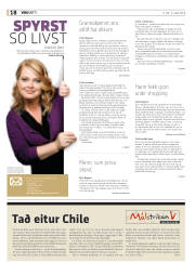 Síða 38
