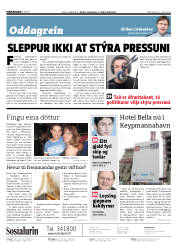 Síða 2