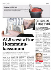 Síða 5