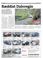 Síða 6
