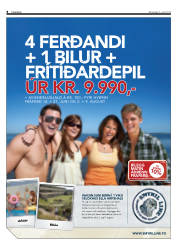 Síða 8
