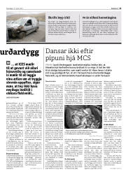 Síða 11
