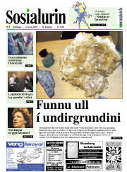 Síða 1