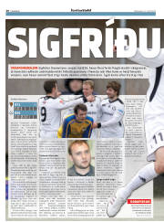 Síða 20