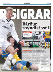 Síða 21