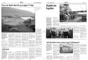 Síða 3