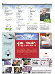 Síða 38