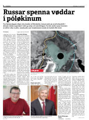 Síða 6