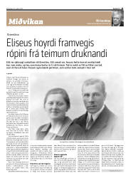 Síða 15